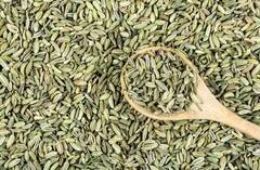 Skin Care Tips: સ્કિનને ગ્લોઇંગ અને સ્કિન ટેન ફ્રી કરવી હોય તો વરિયાળીનો આ રીતે કરો ઉપયોગ