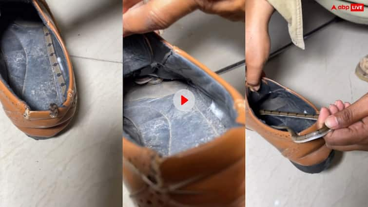 Dangerous snake hide in the shoe which was carefully removed video goes viral OMG!...जूते के अंदर छिपा बैठा था खतरनाक सांप, देखने वालों के उड़ गए होश