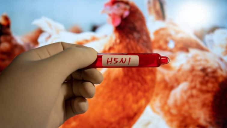 How dangerous is bird flu to humans, can it cause death?