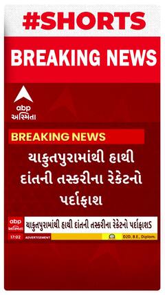 Vadodara News: વડોદરામાં હાથી દાંતની તસ્કરીનો પર્દાફાશ , SOG એ યાકુતપુરામાંથી બે ને ઝડપ્યા