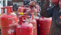 શું ઘરમાં કોમર્શિયલ ગેસ સિલિન્ડરનો કરી શકાય ઉપયોગ? જાણી લો આ નિયમ