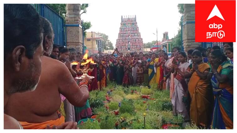 Mayiladuthurai thiruvizhlanthur thooputheru sri thirisooli kalaiyamm temple Kumbabishegam mulaipari festival - TNN ஸ்ரீ திரிசூலி காளியம்மன் ஆலய கும்பாபிஷேக விழாவை முன்னிட்டு நடைபெற்ற முளைப்பாரி ஊர்வலம்