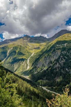 India Forest: ભારતમાં પાંચ ગાઢ જંગલ, જ્યાં રહે છે સૌથી ખતરનાક જાનવરો...