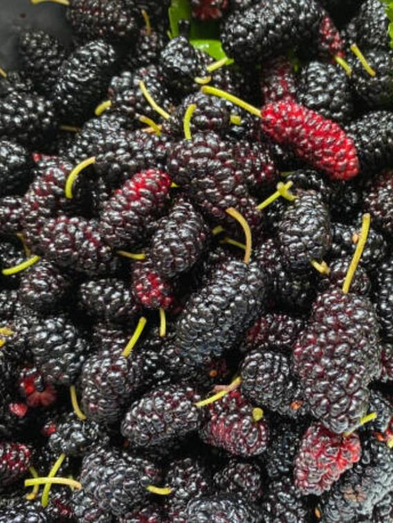 ये है बिना बीज और छिलके वाला फल