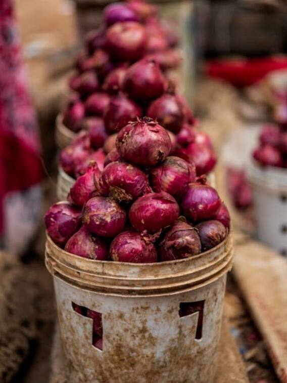 घर में कैसे उगा सकते हैं प्याज