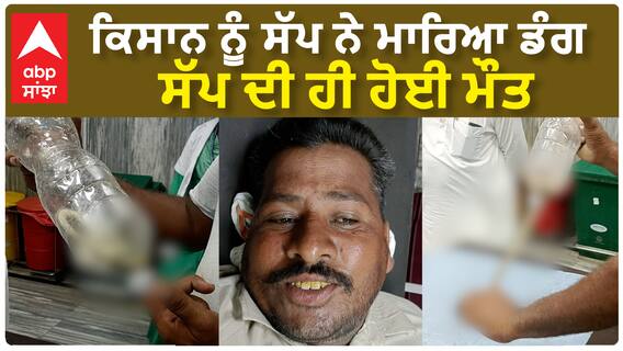Fazilka Snake Attack| ਕਿਸਾਨ ਨੂੰ ਸੱਪ ਨੇ ਮਾਰਿਆ ਡੰਗ, ਸੱਪ ਦੀ ਹੀ ਹੋਈ ਮੌਤ