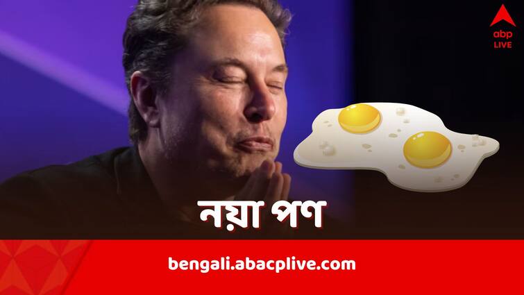 Elon Musk says he will not eat Omlette for a week amid SpaceX environment violation criticism Elon Musk: এক সপ্তাহ অমলেট খাবেন না মাস্ক, 'প্রায়শ্চিত্ত' করতেই সিদ্ধান্ত