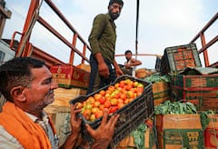 Tomato Farming: ટામેટાની ખેતીથી ખેડૂતો થઈ જશે માલામાલ, બસ આ વાતોનું રાખવું પડશે ધ્યાન