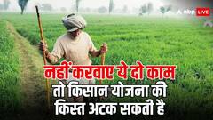 इस दिन जारी हो सकती है किसान योजना की अगली किस्त, पूरे करवा लें ये दो काम, नहीं तो अटक सकते हैं पैसे