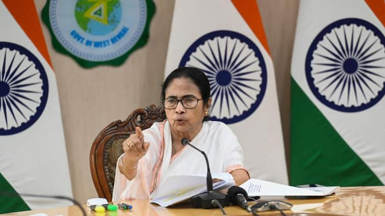 CM Mamata Banerjee Dismisses Rumours On Tilapia Fish Causing Cancer Eat It Without Fear 'Eat It Without Fear': Mamata Banerjee Dismisses Rumours On Tilapia Fish Causing Cancer