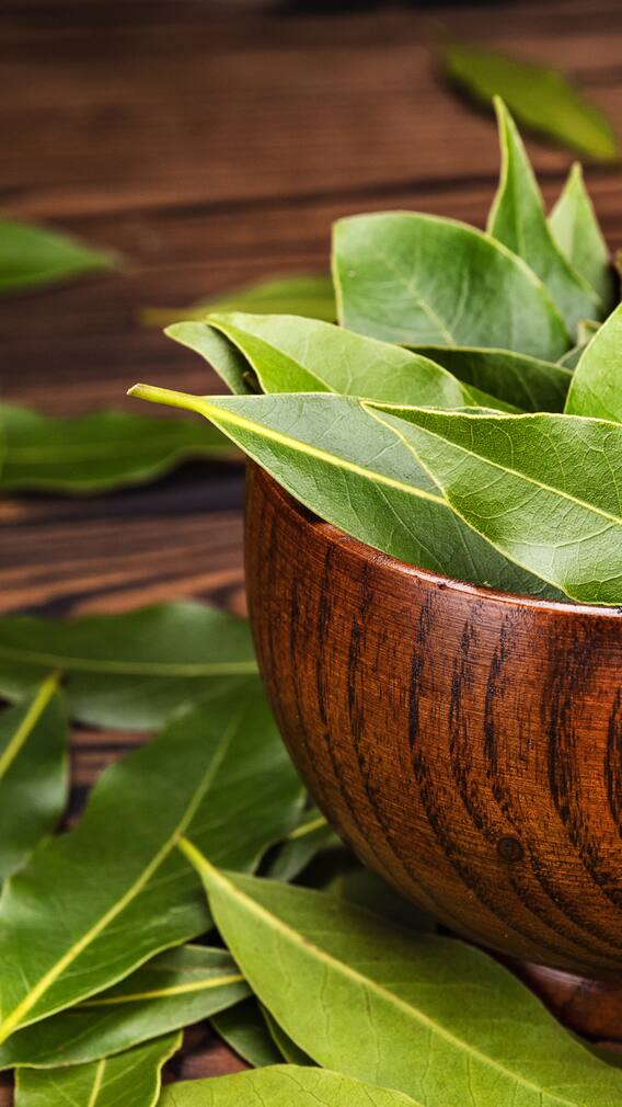 Bay Leaves: A Natural Aid For Diabetes, Cholesterol And More