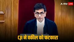 'खत्म होने लगा है मेरा सब्र...', वकील को फटकार लगाते हुए ऐसा क्यों बोले CJI चंद्रचूड़?