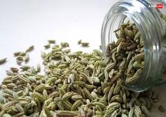 Skin Care Tips: સ્કિનને ગ્લોઇંગ અને સ્કિન ટેન ફ્રી કરવી હોય તો વરિયાળીનો આ રીતે કરો ઉપયોગ