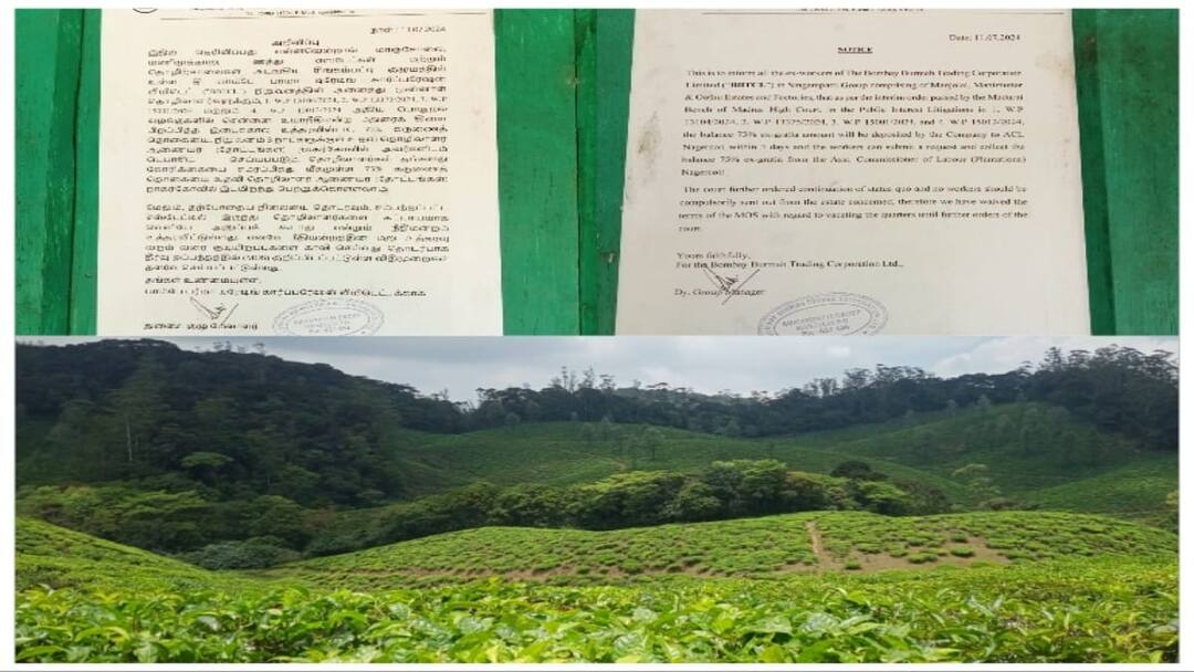 மாஞ்சோலை மக்களுக்கு ஹேப்பி நியூஸ்! குடியிருப்புகளை காலி செய்ய வேண்டாம் - பிபிடிசி அறிவிப்பு