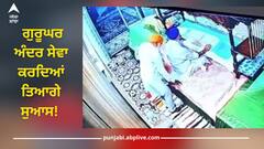 Punjab News: ਗੁਰੂਘਰ ਅੰਦਰ ਸੇਵਾ ਕਰਦਿਆਂ ਤਿਆਗੇ ਸੁਆਸ! ਚੌਰ ਸਾਹਿਬ ਦੀ ਸੇਵਾ ਕਰਦਿਆਂ ਹਾਰਟ ਅਟੈਕ