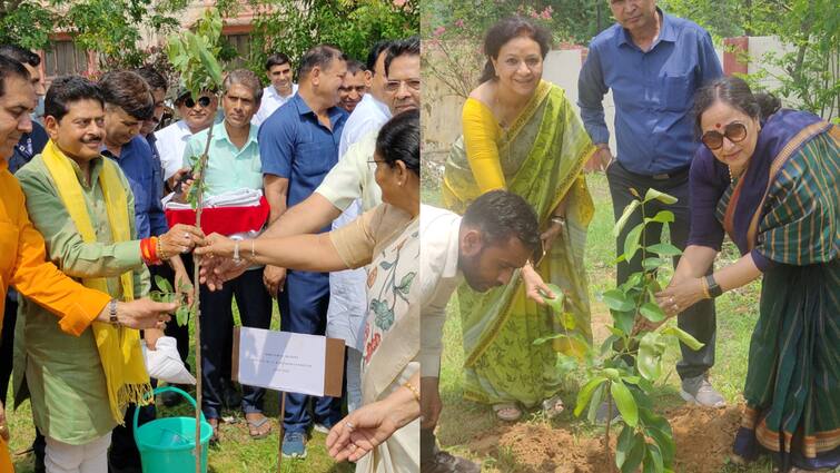 राजस्थान यूनिवर्सिटी में ‘वन स्टूडेंट वन ट्री’ अभियान की शुरुआत, पांच हजार पौधे लगाने का लक्ष्य, देखें तस्वीरें