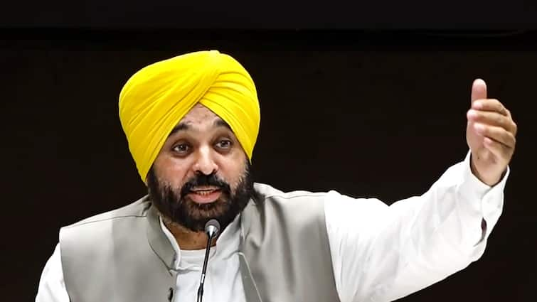 Bhagwant Mann Gives Rs 1 crore cheque Govt Job Letter shubhkaran singh Kin Khanauri Bhagwant Mann Gives Rs 1 Cr Cheque, Govt Job Letter To Kin Of Farmer Killed During Protest At Khanauri