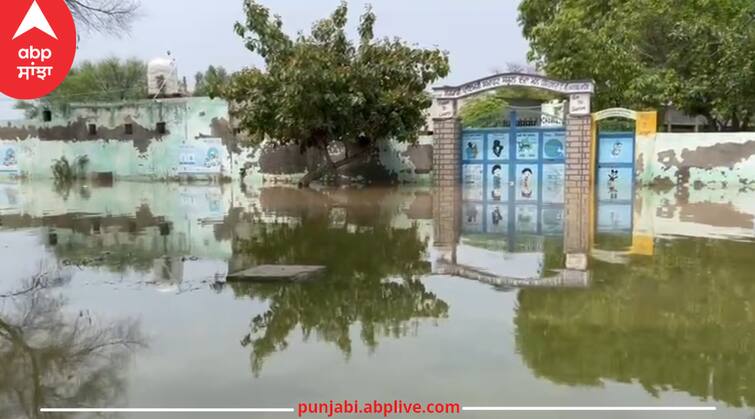 AAP Government Education Model Village Doda Rain Water Fill in Government School 'ਆਪ' ਸਰਕਾਰ ਦੇ ਦਾਅਵੇ ਖੋਖਲੇ ਸਾਬਤ! ਸਿੱਖਿਆ ਮਾਡਲ ਦੋ ਦਿਨ ਦੀ ਬਾਰਸ਼ 'ਚ ਹੋਇਆ ਪਾਣੀ-ਪਾਣੀ