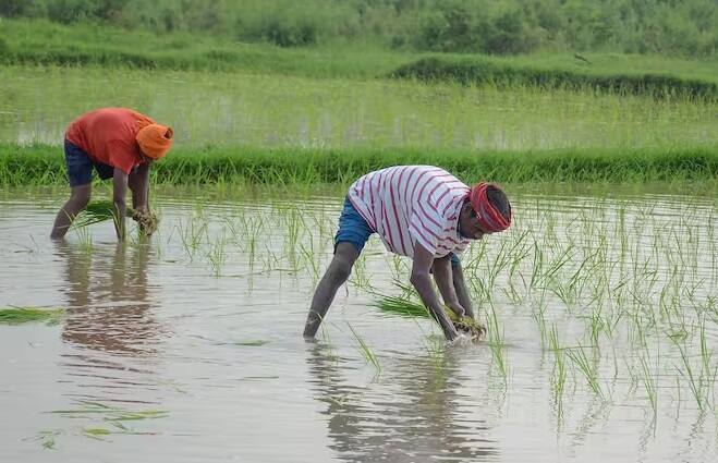 કેન્દ્ર સરકારની આવી અનેક યોજનાઓ છે. જેનો ખેડૂતોને વિવિધ રીતે ફાયદો થાય છે. એક એવી યોજના છે જે સીધો આર્થિક લાભ આપે છે.