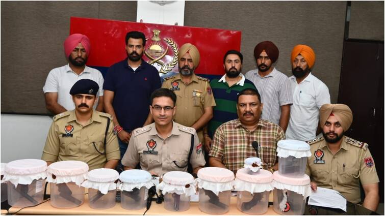 sidhu moosewala murder case punjab police arrested 4 members of Lawrence Bishnoi gang लॉरेंस बिश्नोई गैंग के खिलाफ पंजाब पुलिस का बड़ा एक्शन, सिद्धू मूसेवाला के हत्या आरोपी का करीबी गिरफ्तार