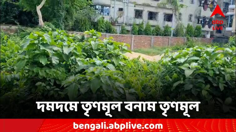 Dumdum TMC complaining about the land grabbing of Dum Dum Jeshop Jessop Dumdum: জেশপের জমি জবরদখলের অভিযোগ, দমদমে তৃণমূল বনাম তৃণমূল