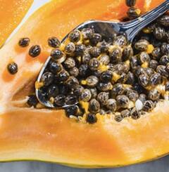 ਪ੍ਰੈਗਨੈਂਸੀ ਦੌਰਾਨ ਪਪੀਤੇ ਦਾ ਸੇਵਨ ਕਰਨਾ ਚਾਹੀਦਾ ਜਾਂ ਨਹੀਂ? ਸਿਹਤ ਮਾਹਿਰਾਂ ਤੋਂ ਜਾਣੋ