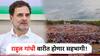 राजकारण्यांना विठ्ठलाची गोडी, राहुल गांधीही वारीत होणार सहभागी
