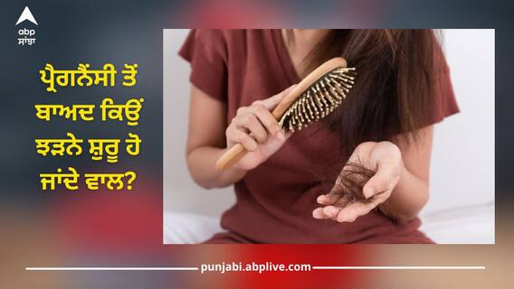 Hair Loss Problem: ਪ੍ਰੈਗਨੈਂਸੀ ਤੋਂ ਬਾਅਦ ਕਿਉਂ ਝੜਨੇ ਸ਼ੁਰੂ ਹੋ ਜਾਂਦੇ ਵਾਲ, ਇਸ ਸਮੱਸਿਆ ਨੂੰ ਇੰਝ ਕਰੋ ਦੂਰ Hair Loss Problem: ਪ੍ਰੈਗਨੈਂਸੀ ਤੋਂ ਬਾਅਦ ਕਿਉਂ ਝੜਨੇ ਸ਼ੁਰੂ ਹੋ ਜਾਂਦੇ ਵਾਲ, ਇਸ ਸਮੱਸਿਆ ਨੂੰ ਇੰਝ ਕਰੋ ਦੂਰ