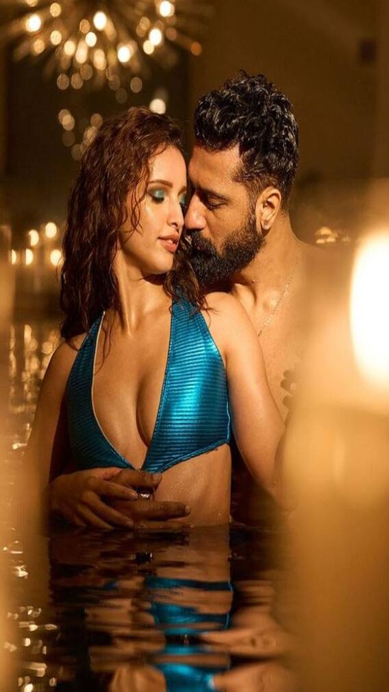 Vicky-Triptii To Ranveer-Alia; Celebs Who Got Intimate With Actors Post Marriage