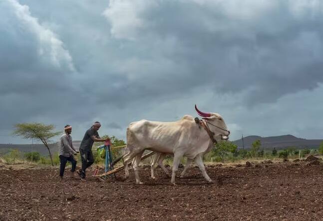 કિસાન યોજનાનો 18મો હપ્તો ભારત સરકાર ઓક્ટોબર મહિનામાં રીલિઝ કરી શકે છે. પરંતુ હપ્તો મેળવતા પહેલા ખેડૂતોએ આ બે કામ કરવા જરૂરી છે. નહી તો તેમના હપ્તાના નાણાં ફસાઈ શકે છે.આ અંગે સરકાર દ્વારા ખેડૂતોને અગાઉથી જ જાણ કરવામાં આવી છે. યોજના માટે લાભાર્થી ખેડૂતોએ ઈ-કેવાયસી અને જમીનની ચકાસણી કરાવવી જરૂરી છે. જે ખેડૂતોએ આજ સુધી આ કામો કરાવ્યા નથી. તેનો આગામી હપ્તો અટકી શકે છે.