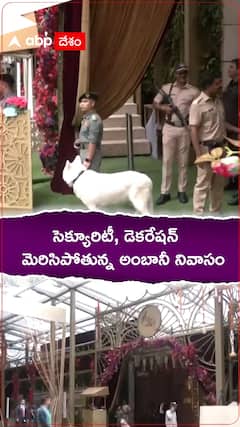 సెక్యూరిటీ, డెకరేషన్ మెరిసిపోతున్న అంబానీ నివాసం