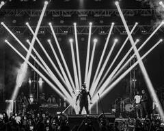 यो यो हनी सिंगच्या आयुष्यात नव्या प्रेमाने प्रवेश केला, आता या अभिनेत्रीला करतोय डेट!