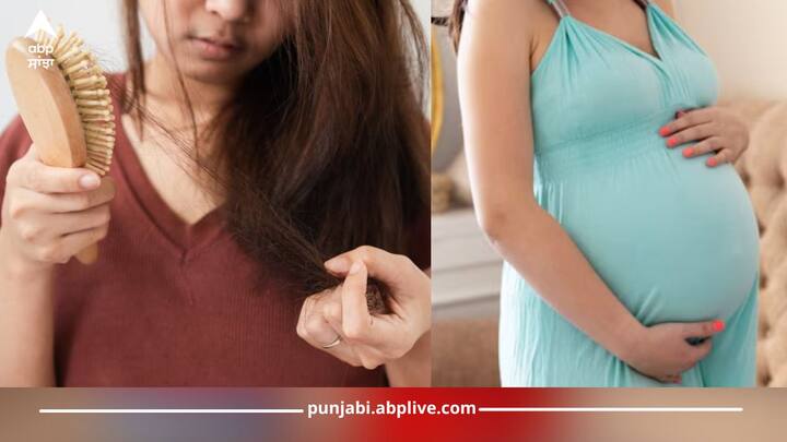 Hair Loss: ਅਕਸਰ ਹੀ ਔਰਤਾਂ ਗਰਭ ਅਵਸਥਾ ਤੋਂ ਬਾਅਦ ਵਾਲ ਝੜਨ ਦੀ ਸਮੱਸਿਆ ਦਾ ਸ਼ਿਕਾਰ ਹੋ ਜਾਂਦੀਆਂ ਹਨ। ਇਸ ਦੇ ਲਈ ਕਈ ਤਰ੍ਹਾਂ ਦੀਆਂ ਦਵਾਈਆਂ ਲਈਆਂ ਹਨ ਪਰ ਰਾਹਤ ਨਹੀਂ ਮਿਲ ਰਹੀ ਹੈ, ਇਸ ਲਈ ਹੁਣ ਤੁਹਾਨੂੰ ਚਿੰਤਾ ਕਰਨ ਦੀ ਲੋੜ ਨਹੀਂ ਹੈ।