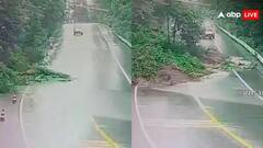 सड़क पर खिसकता हुआ आ गया पूरा जंगल, लोग बोले- 'मैं ठहरा रहा जमीं चलने लगी'