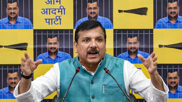 Sanjay Singh on Arvind Kejriwal ED Tihar Jail AAP MP Target BJP Delhi News 'ये षड्यंत्र था ताकि कोई अनहोनी...', अरविंद केजरीवाल के स्वास्थ्य का जिक्र कर BJP पर भड़के संजय सिंह