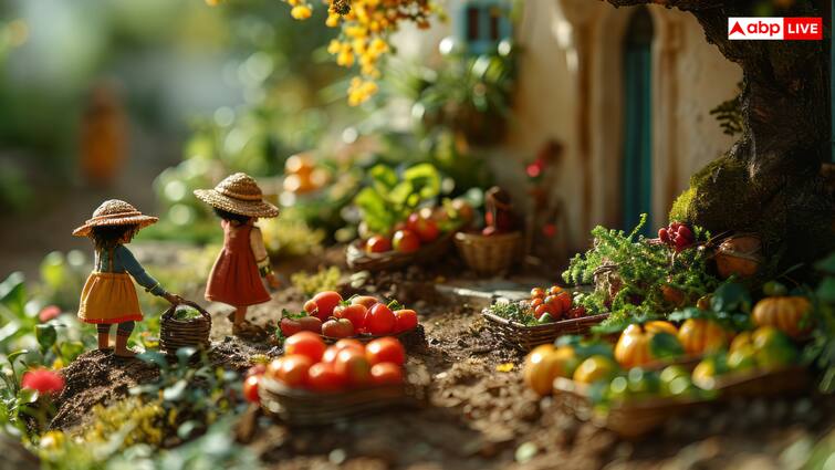 Kitchen Gardening cultivate Tomato onion capsicum easily at home and save money रॉकेट की स्पीड से महंगी हो रहीं ये सब्जियां, आसानी से घर में उगाएं और पैसे बचाएं