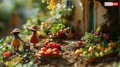 रॉकेट की स्पीड से महंगी हो रहीं ये सब्जियां, आसानी से घर में उगाएं और पैसे बचाएं