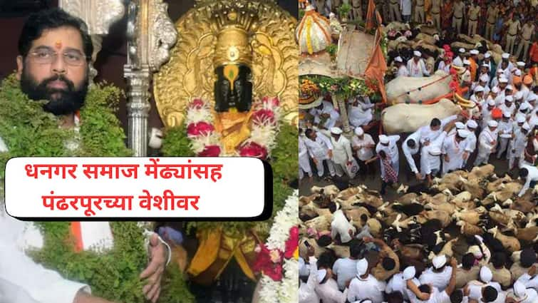 Ashadhi wari Dhangar community aggressive for demands Pandharpur CM Eknath Shinde Mahapuja Maharashtra Marathi News Pandharpur : वैष्णवांच्या मेळ्यात राजकारण , मुख्यमंत्र्यांना रोखण्यासाठी धनगर समाज मेंढ्यांसह वेशीवर दाखल