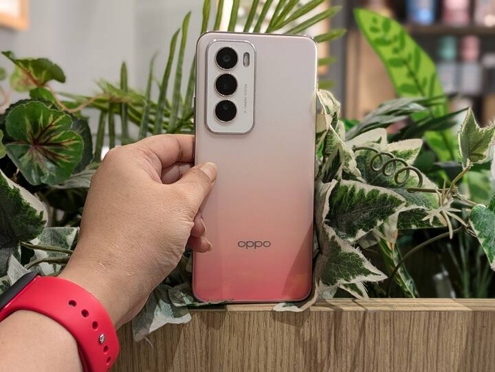 The Oppo Reno 12 has a triple camera setup, dominated by a 50-megapixel Sony LYT 600 sensor, an 8-megapixel ultra-wide-angle sensor, and a 2-megapixel macro sensor. In my initial testing, the main and macro sensors stood out to me. The wide-angle lens is more of a hit-and-miss affair.