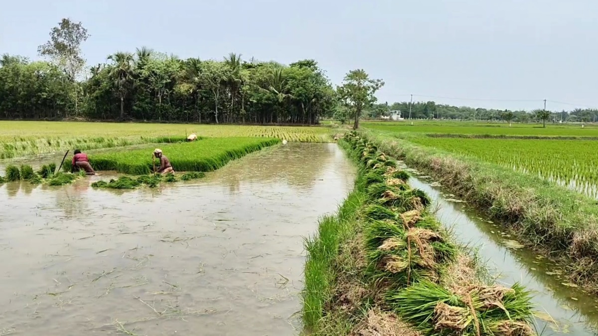 அரசு கொடுப்பதுபோல் அறிவித்துவிட்டு, விவசாயிகளுக்கு கிடைக்கவிடாமல் செய்கிறது - விவசாயிகள் குற்றச்சாட்டு