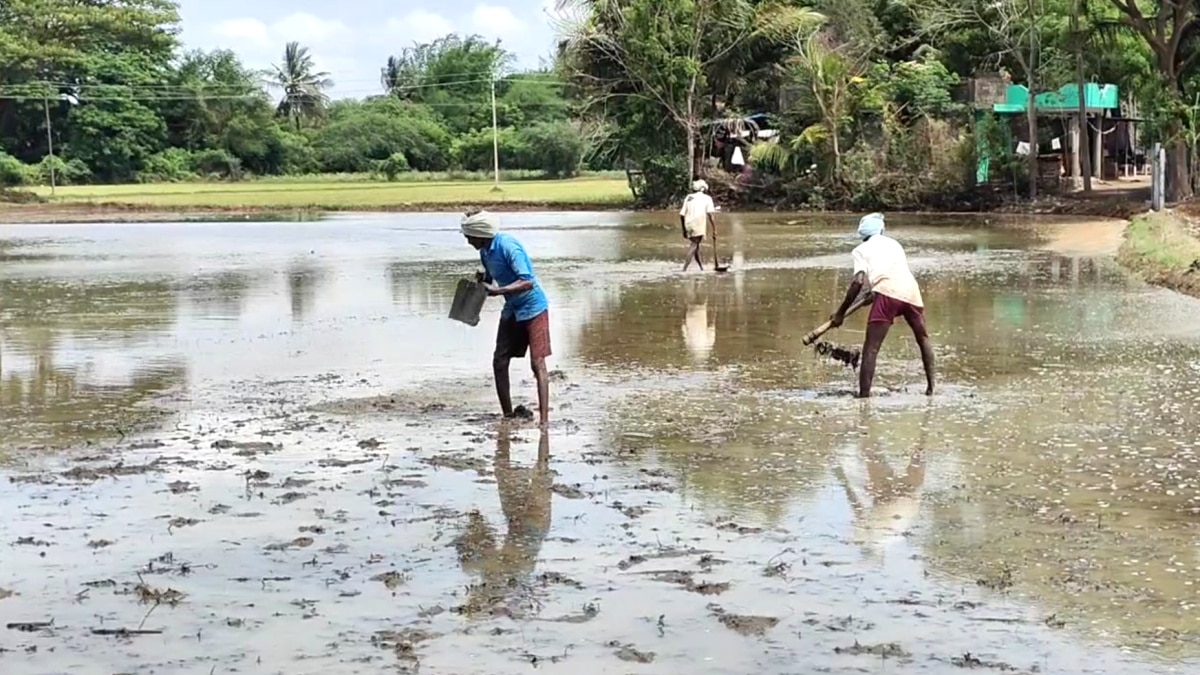 அரசு கொடுப்பதுபோல் அறிவித்துவிட்டு, விவசாயிகளுக்கு கிடைக்கவிடாமல் செய்கிறது - விவசாயிகள் குற்றச்சாட்டு