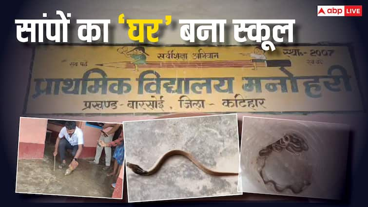 Teachers and students worried after snakes appeared in Bihar government school in Katihar ann Bihar News: कटिहार के एक विद्यालय में सांपों के आतंक में बच्चे और शिक्षक, दो दिनों में निकले 36