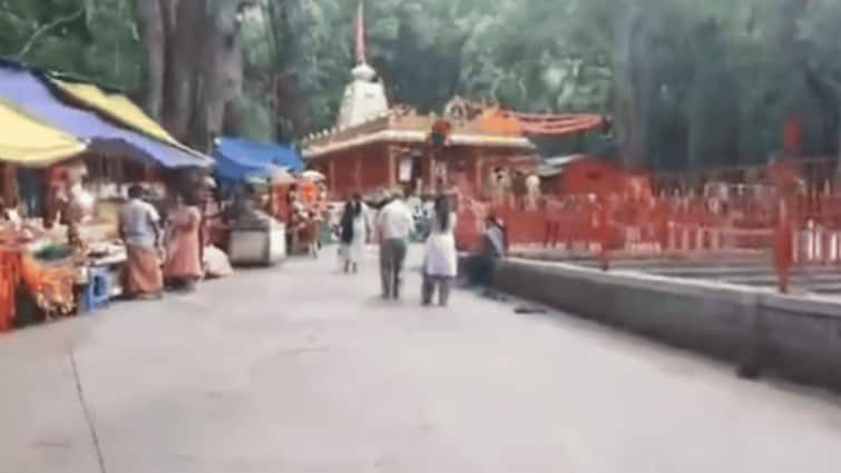 Tirumala Woman Devotee Suffers Critical Injury After Tree Branch Falls On Her At Temple Woman Devotee Suffers Critical Injury After Tree Branch Falls On Her At Tirumala Temple