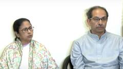 उद्धव ठाकरे वाघासारखे लढले, विधानसभेला त्यांच्या प्रचारासाठी महाराष्ट्रात येणारच; ममता बॅनर्जींचा शब्द