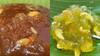 Pasi Paruppu Halwa : பாசி பருப்பில் இப்படி அல்வா செய்து பாருங்க..சுவை அல்டிமேட்டா இருக்கும்!