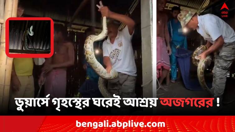 Dooars devastated rain endangered wild life rock python sheltered in a home Dooars Rain: বর্ষায় বিপন্ন ডুয়ার্সের বন্যপ্রাণ, গৃহস্থের ঘরেই আশ্রয় অজগরের !