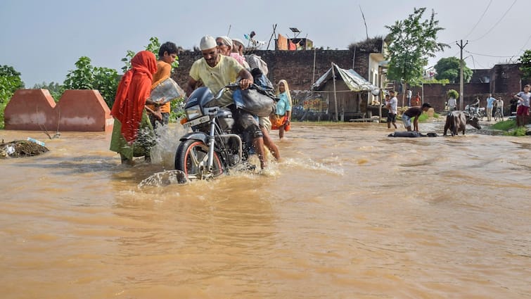 Uttar Pradesh Floods Affect 732 Villages 11 New Fatalities In 24 Hours UP Rains UP News Uttar Pradesh Floods Affect 732 Villages, 11 New Fatalities In 24 Hours