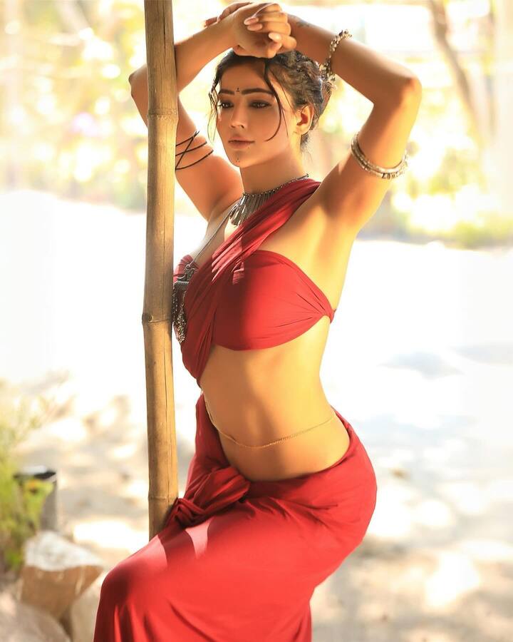 સોનિયા બંસલના ઈન્સ્ટાગ્રામ પર 6.2 મિલિયન ફોલોઅર્સ છે