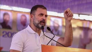 By-Election 2024: ‘ભાજપના ભય-ભ્રમની તૂટી જાળ, દરેક તાનાશાહીનો ઈચ્છે છે નાશ’. પેટા ચૂંટણીના પરિણામ પર બોલ્યા રાહુલ ગાંધી