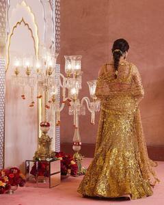 Janhvi Alia Photos : பஞ்சு மிட்டாய் அலியா பட்.. தங்க மயில் ஜான்வி கபூர்..  கல்யாண வீட்டில் கவனத்தை ஈர்த்த நடிகைகள்!